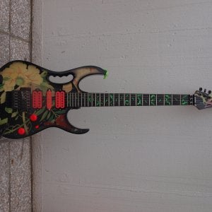 My Jemfp